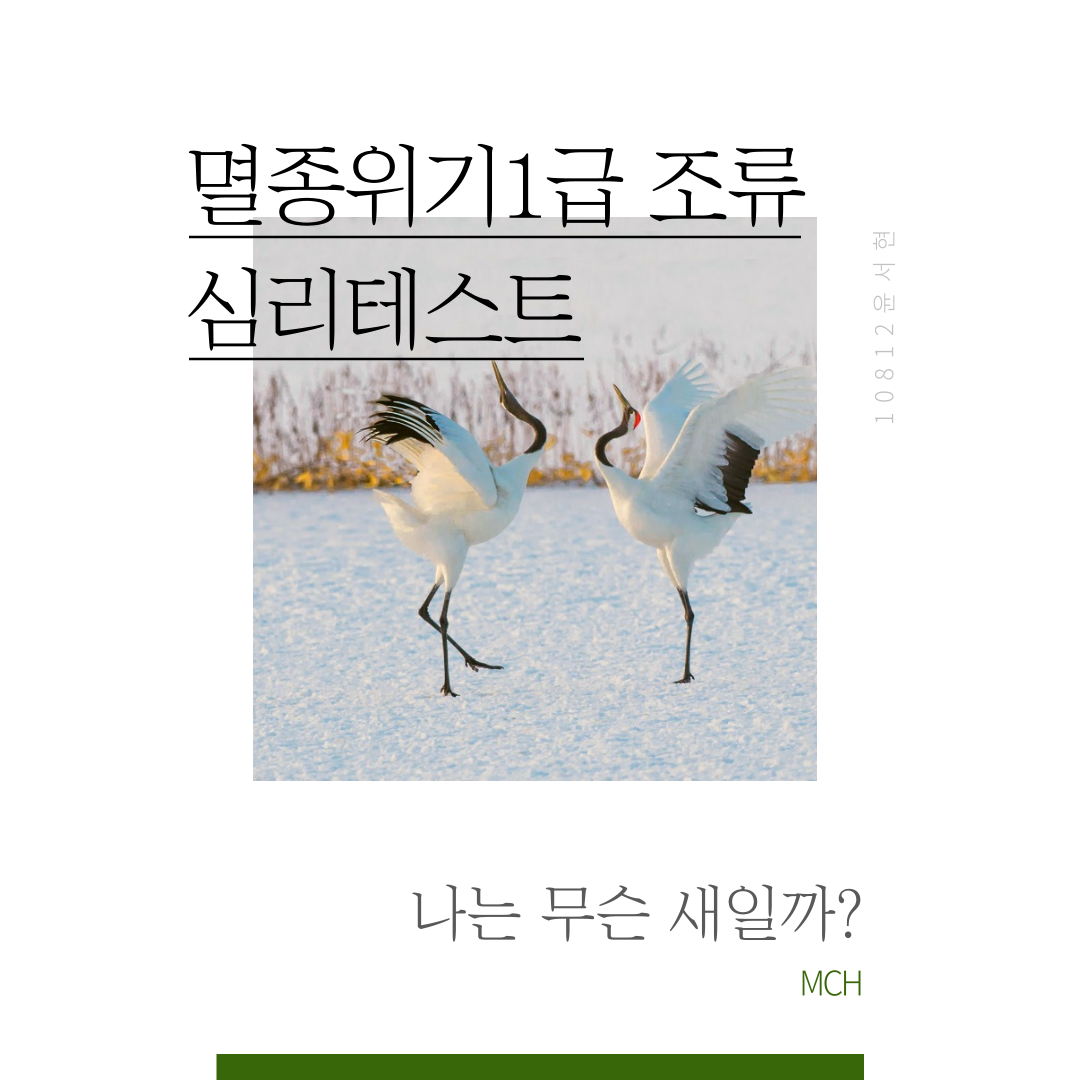 나는 무슨 새일까? 메인 이미지