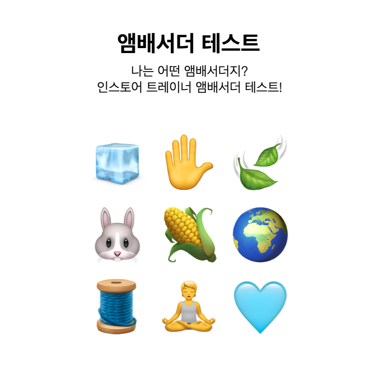 나는 어떤 앰배서더?