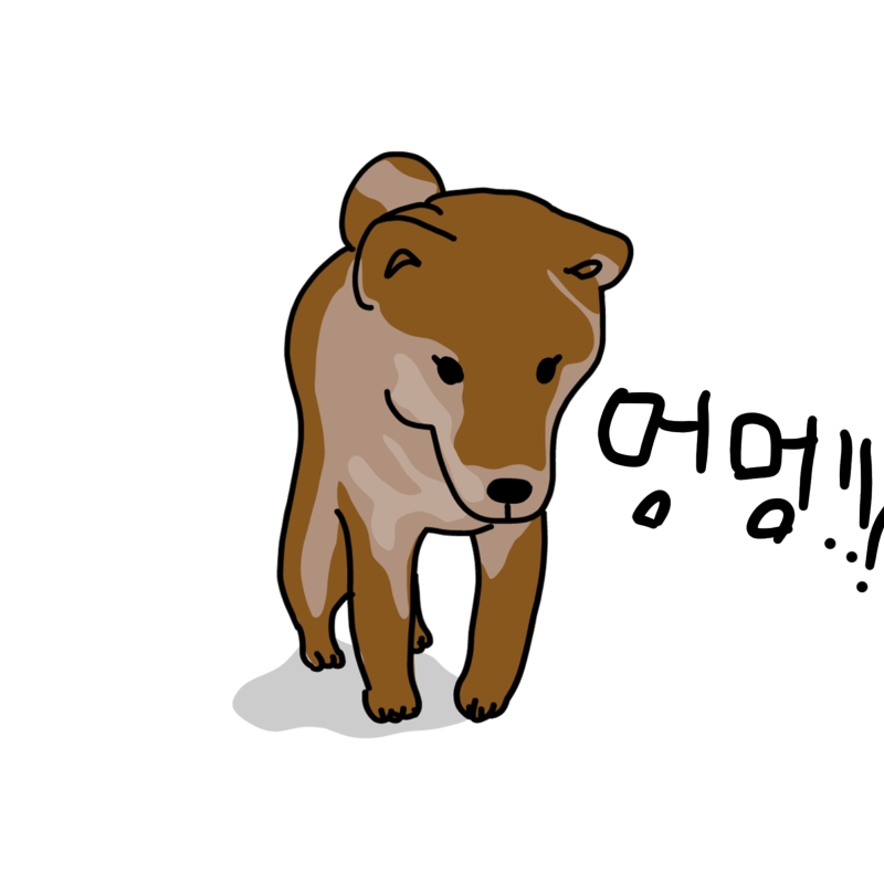 “똥개”키우기!~