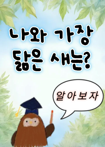 나와 가장 닮은 새는?