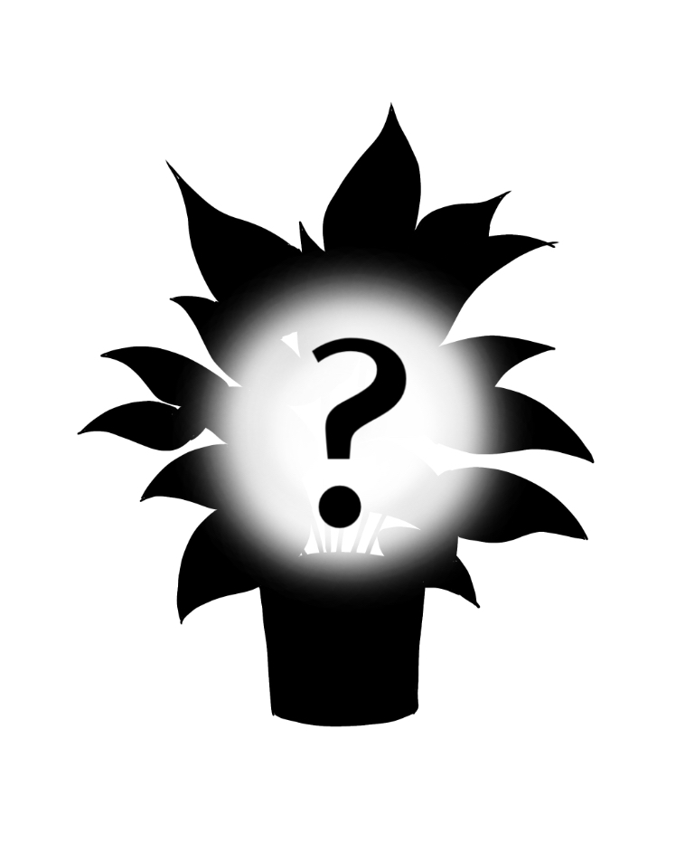 그린테라피 테스트