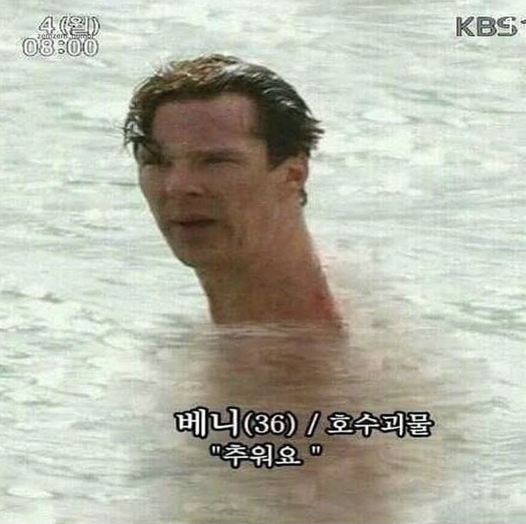 나는 어떤 지버캐?