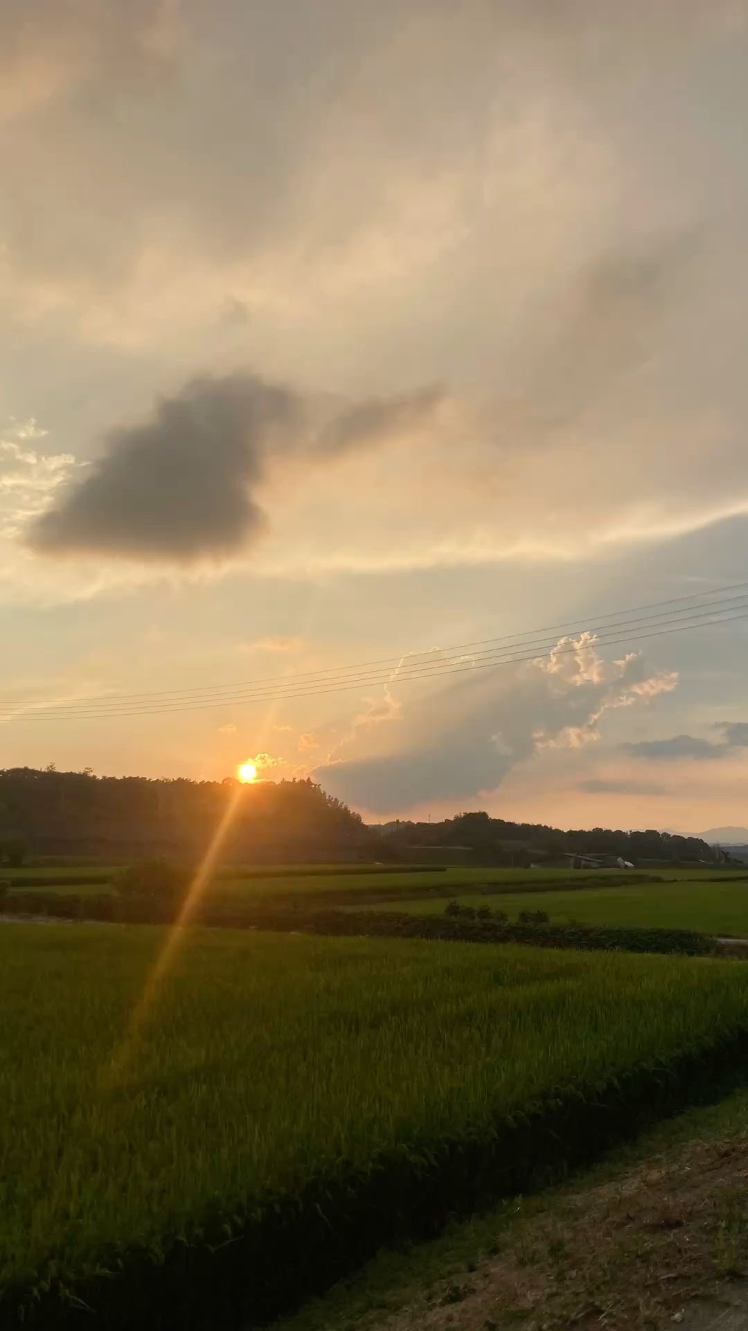 학교쌤 성격