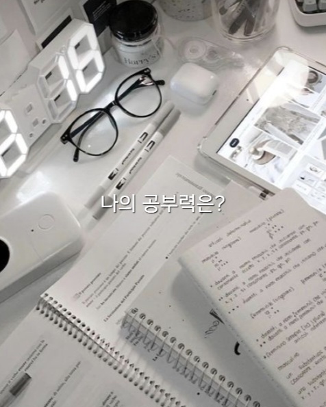 공부 유형 테스트