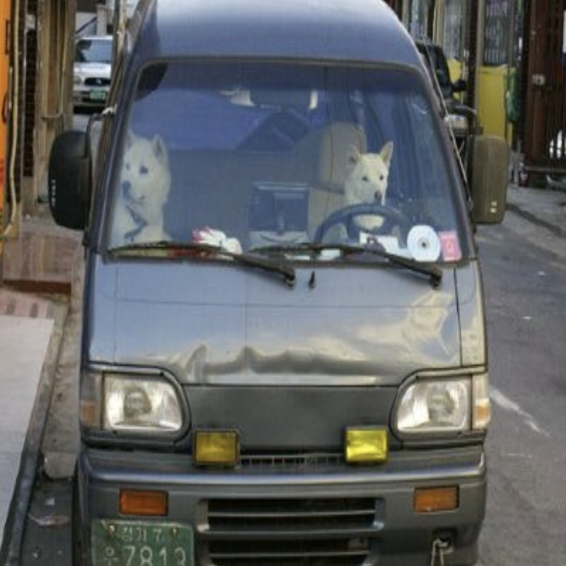 내 차의 MBTI 테스트