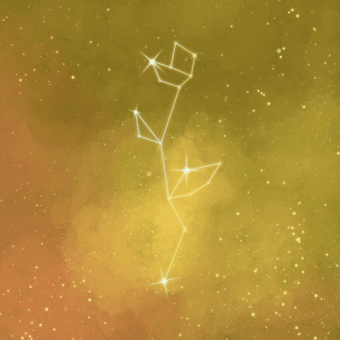 Yellow Flower Galaxy