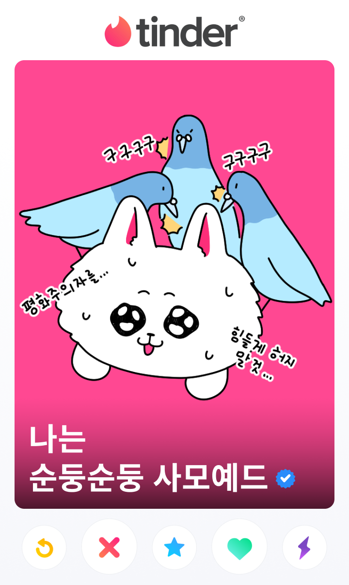 순둥순둥 사모예드